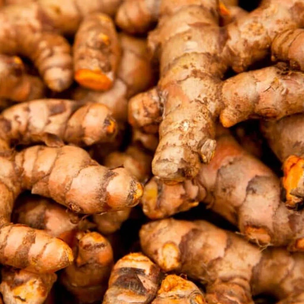 Turmeric (Curcuma longa) root extract