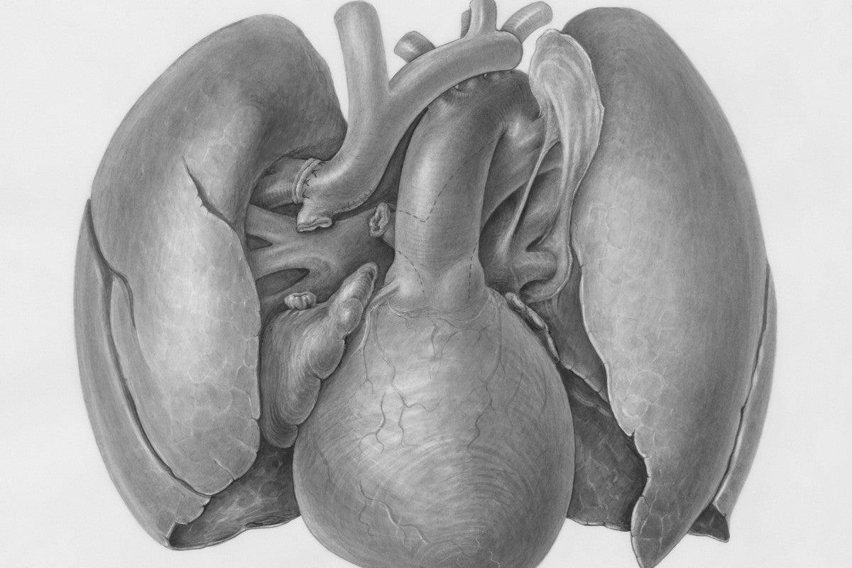 Probiotics for Allergies: Can Probiotics Help With Allergies?