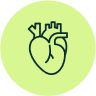 Heart Support*