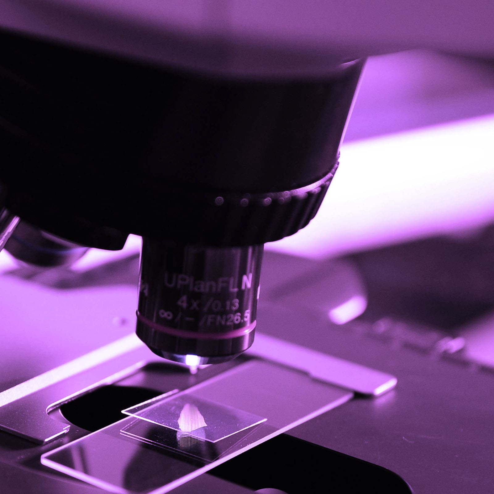 We are NutraStrong certified, verifying that our prebiotics meet strict third-party standards for content, identity, labeling, and manufacturing, ensuring our formula is accurate, stable, and trustworthy.