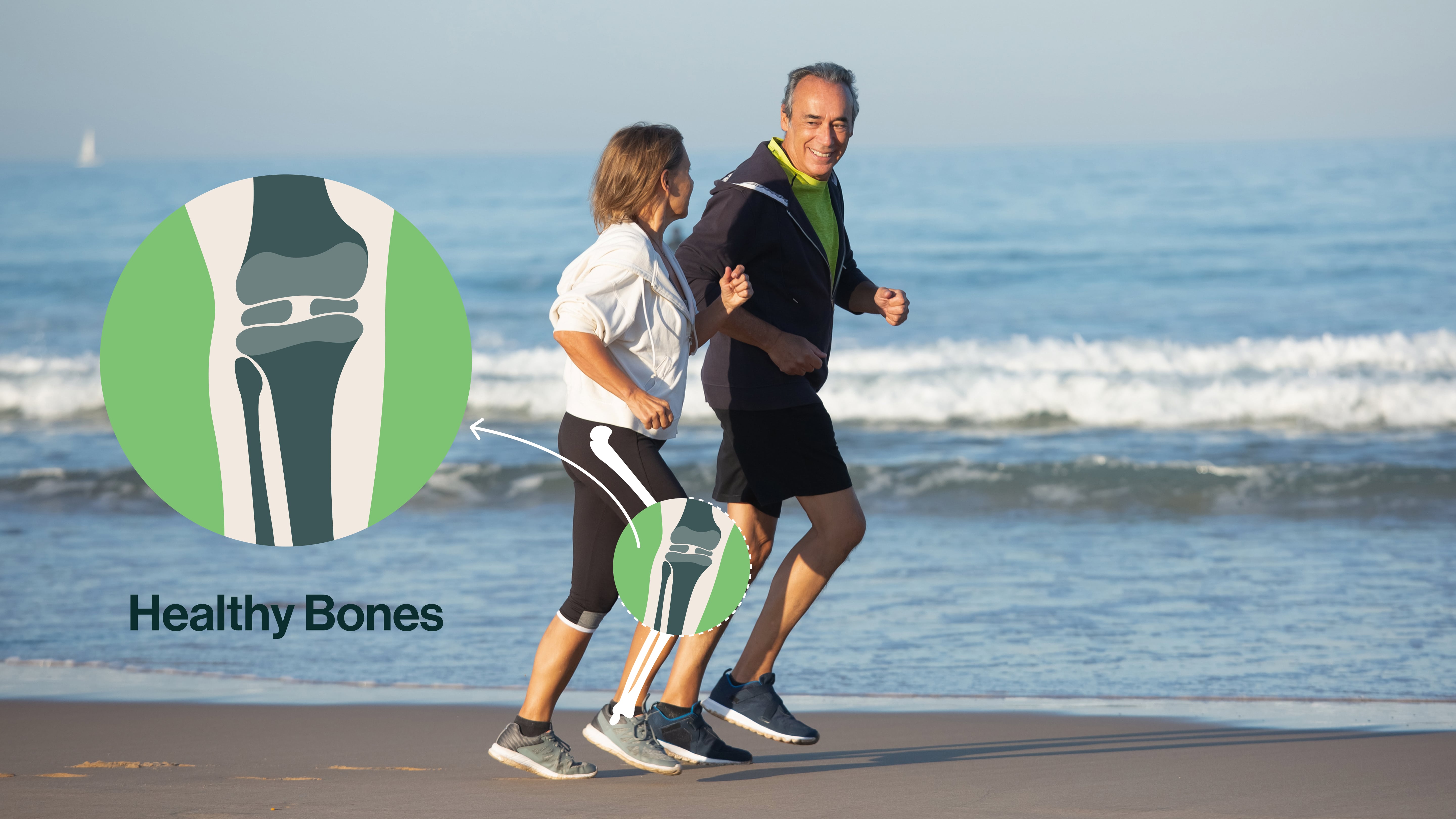Step 2: By targeting the Gut-Bone-Joint Axis, a key communication pathway linking the gut, immune system, bones, and joints.
This targeted blend supports immune balance, bone turnover, and healthy inflammatory signaling to promote mobility, bone strength, and recovery from physical activity.*