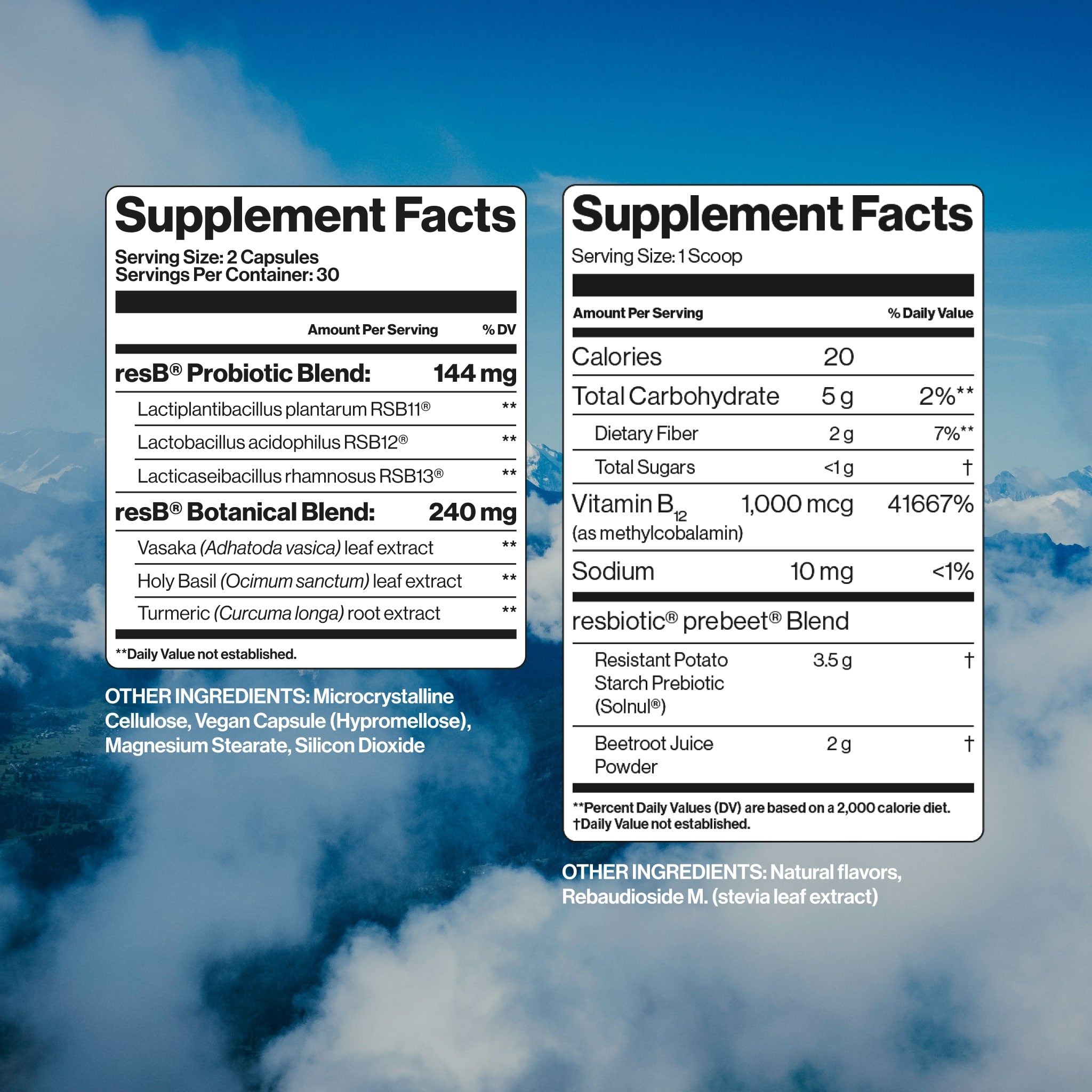 resB blend includes multi-strain probiotic blend: L. plantarum RSB11®, L. acidophilus RSB12®, and L. rhamnosus RSB13® alongside Vasaka, Turmeric, and Holy Basil Leaf. prebeet blend includes a resistant potato starch, beetroot, and vitamin B12 (methylcobalamin).