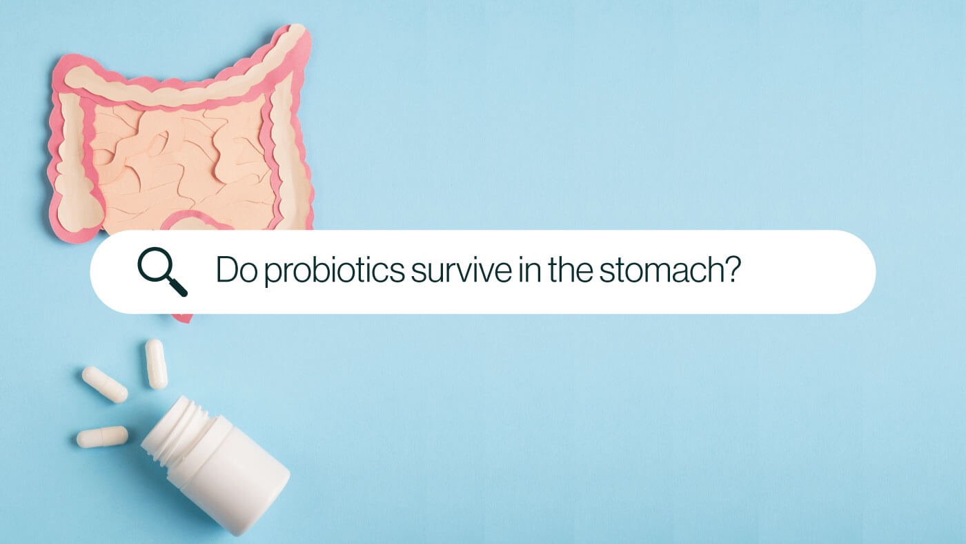 Do probiotics survive in your stomach?