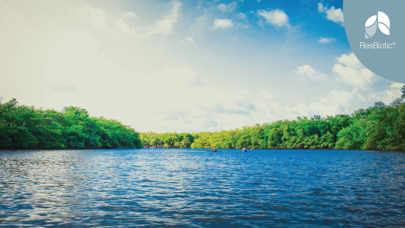 Breathing blue: why being in or near water is good for your breath