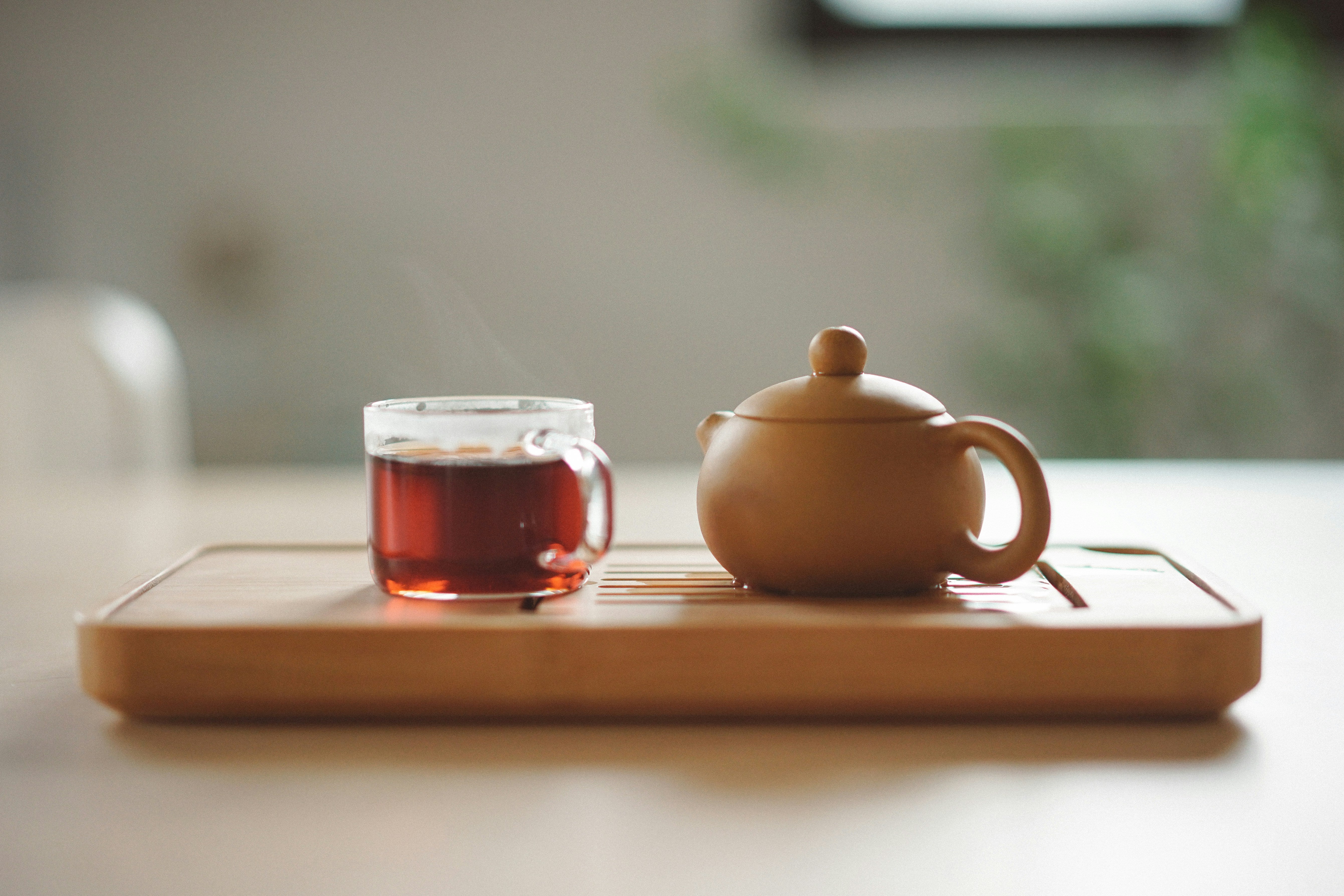 What is the Best Tea to Lose Weight?