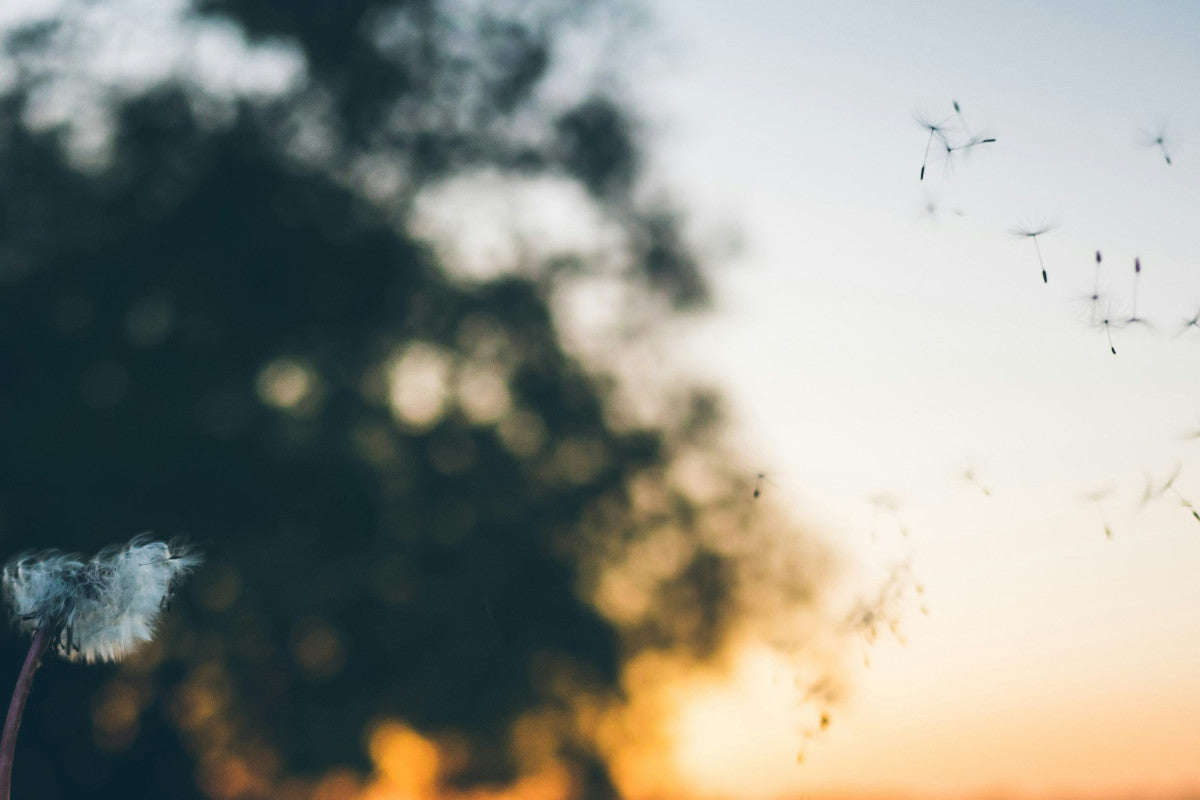 spring allergies coughing