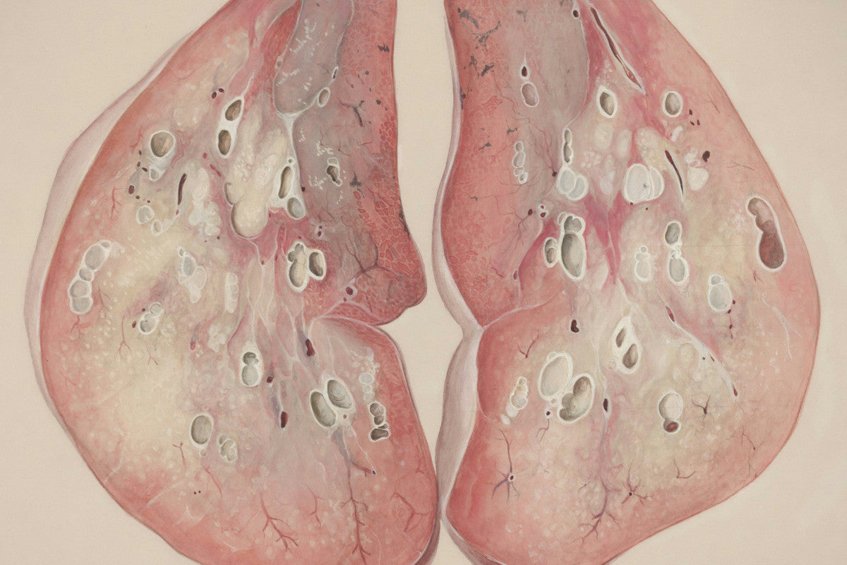 how to take turmeric for lungs