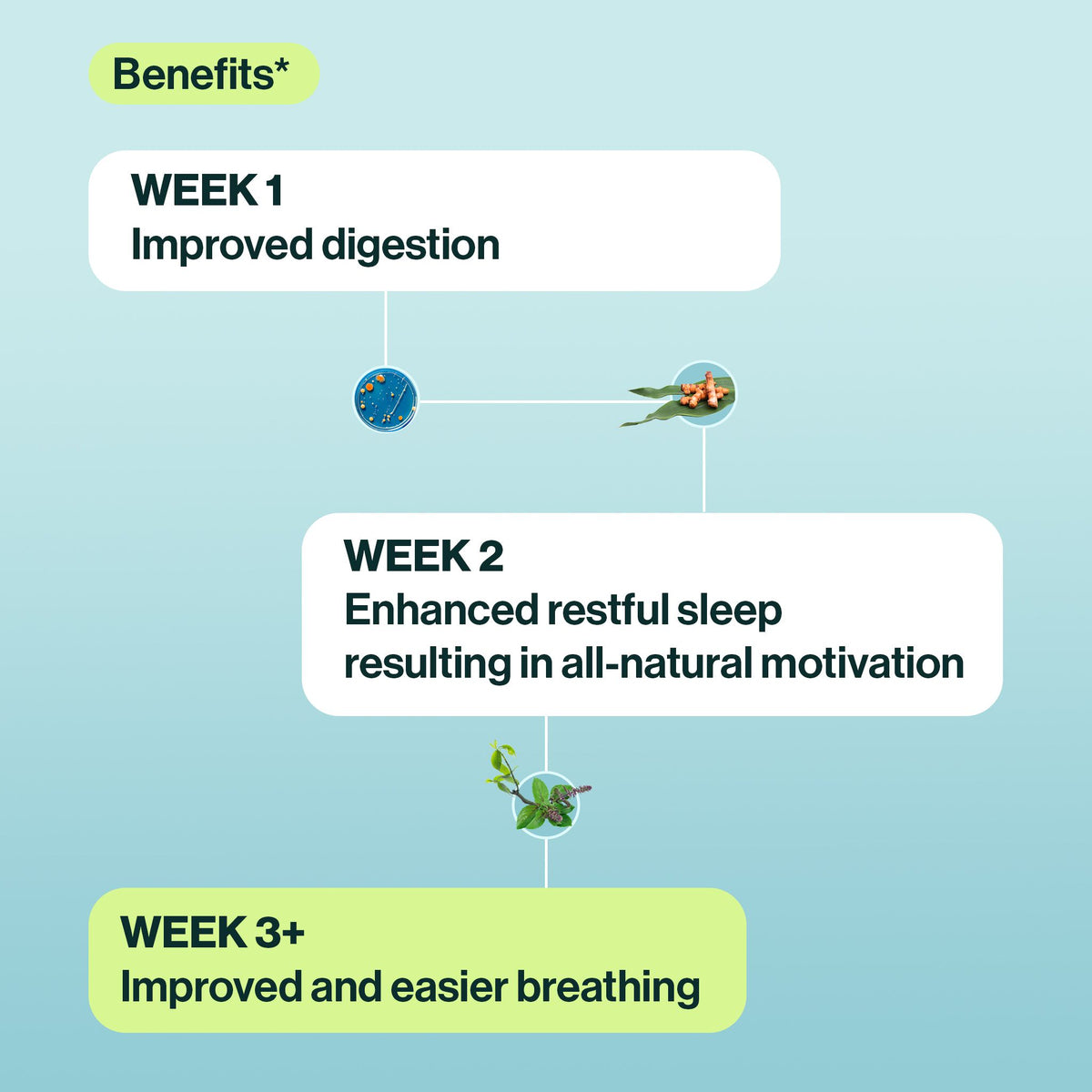 Good Resbi resB® | Lung Support Probiotic Supplement | Pulmonologist Recommended