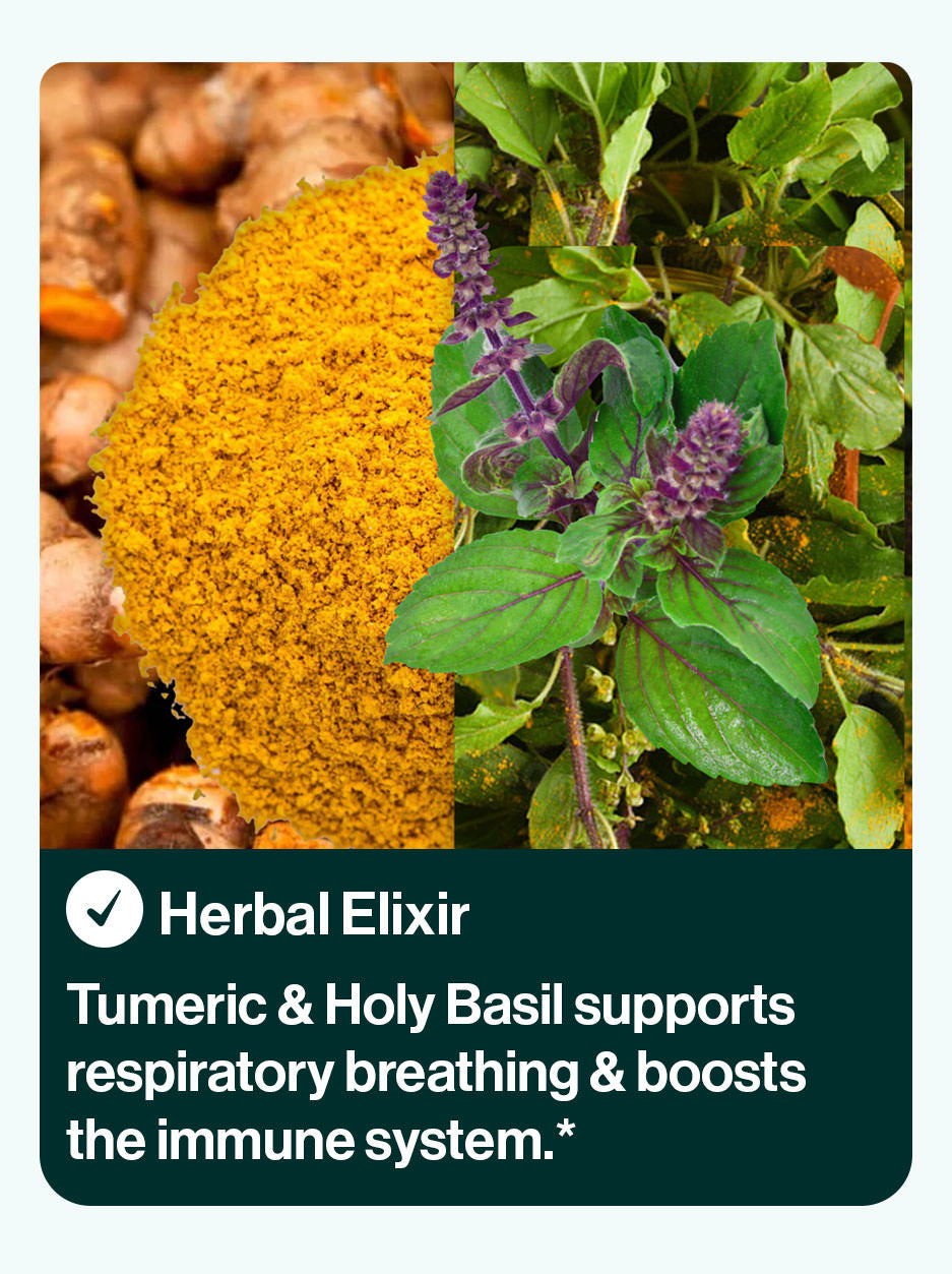 Herbal ingredients in res power bundle. Tumeric & Holy Basil supports respiratory breathing & boosts the immune system.*