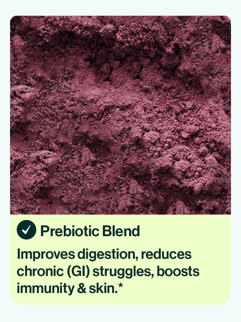 prebeet ingredient Prebiotic Blend  Improves digestion, reduces chronic gastrointestinal struggles, boosts immunity, & supports healthy skin.*