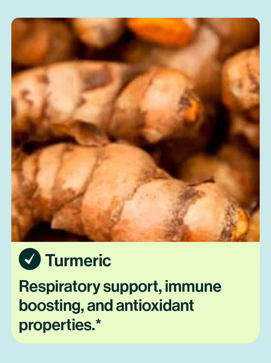 Turmeric herbal ingredient in resB probiotic lung support. Respiratory support, immune boosting, and antioxidant properties.*