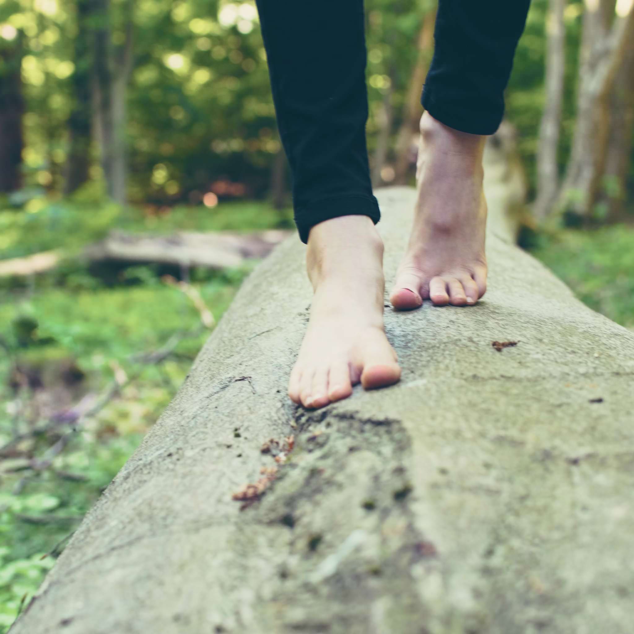 Walking on a tree trunk