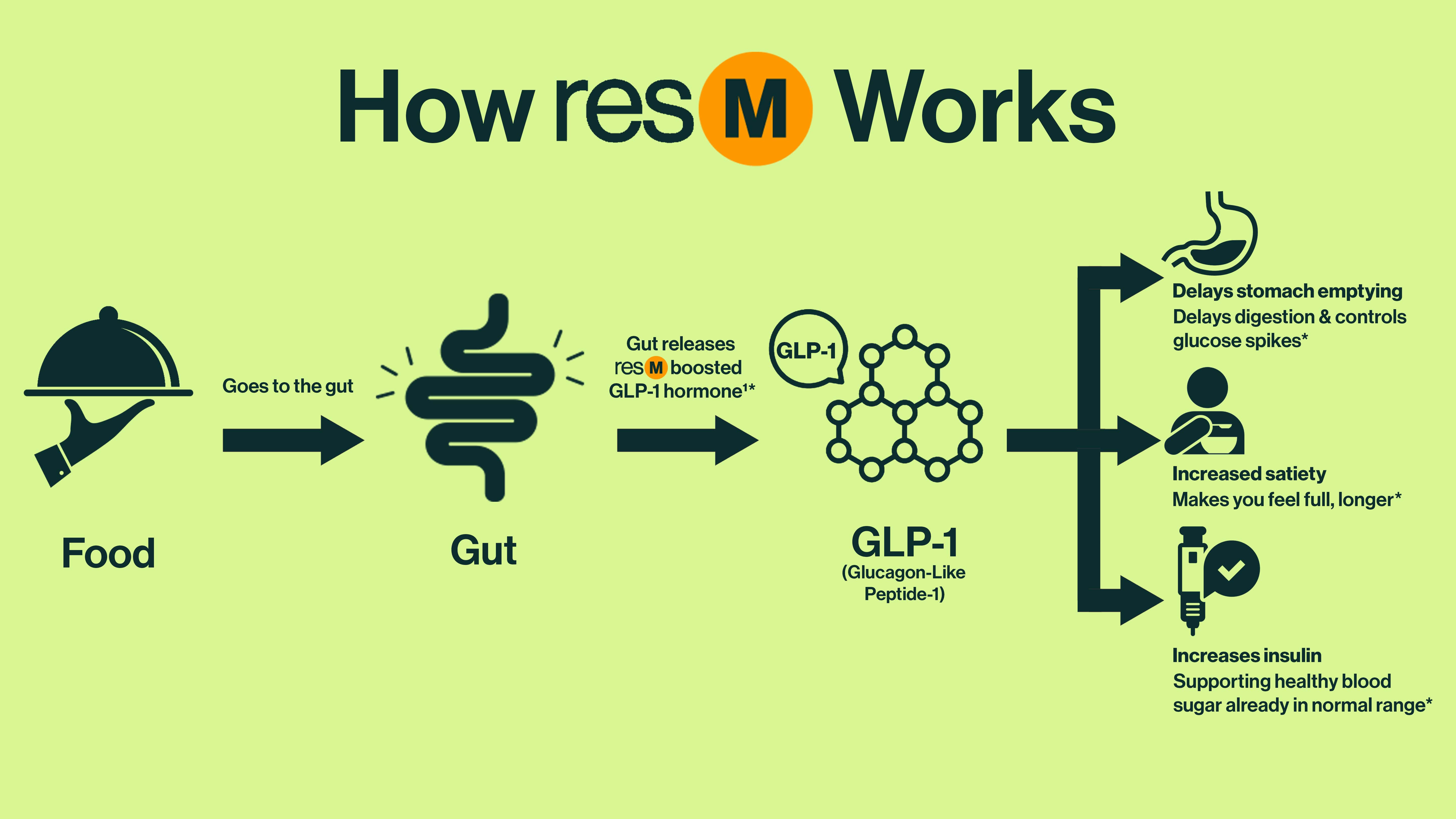 Diagram showing how resM supports natural GLP 1 signaling from the gut to help with satiety, digestion, and healthy blood sugar levels already in normal range.*