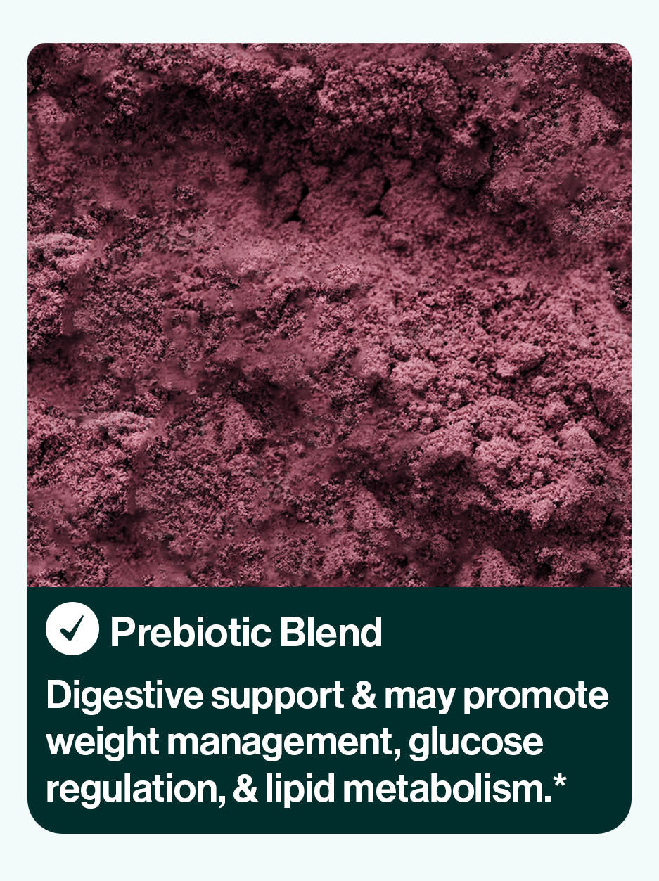 prebeet ingredient Prebiotic Blend  Digestive support & may reduce appetite while promoting weight management, glucose regulation, & lipid metabolism.*