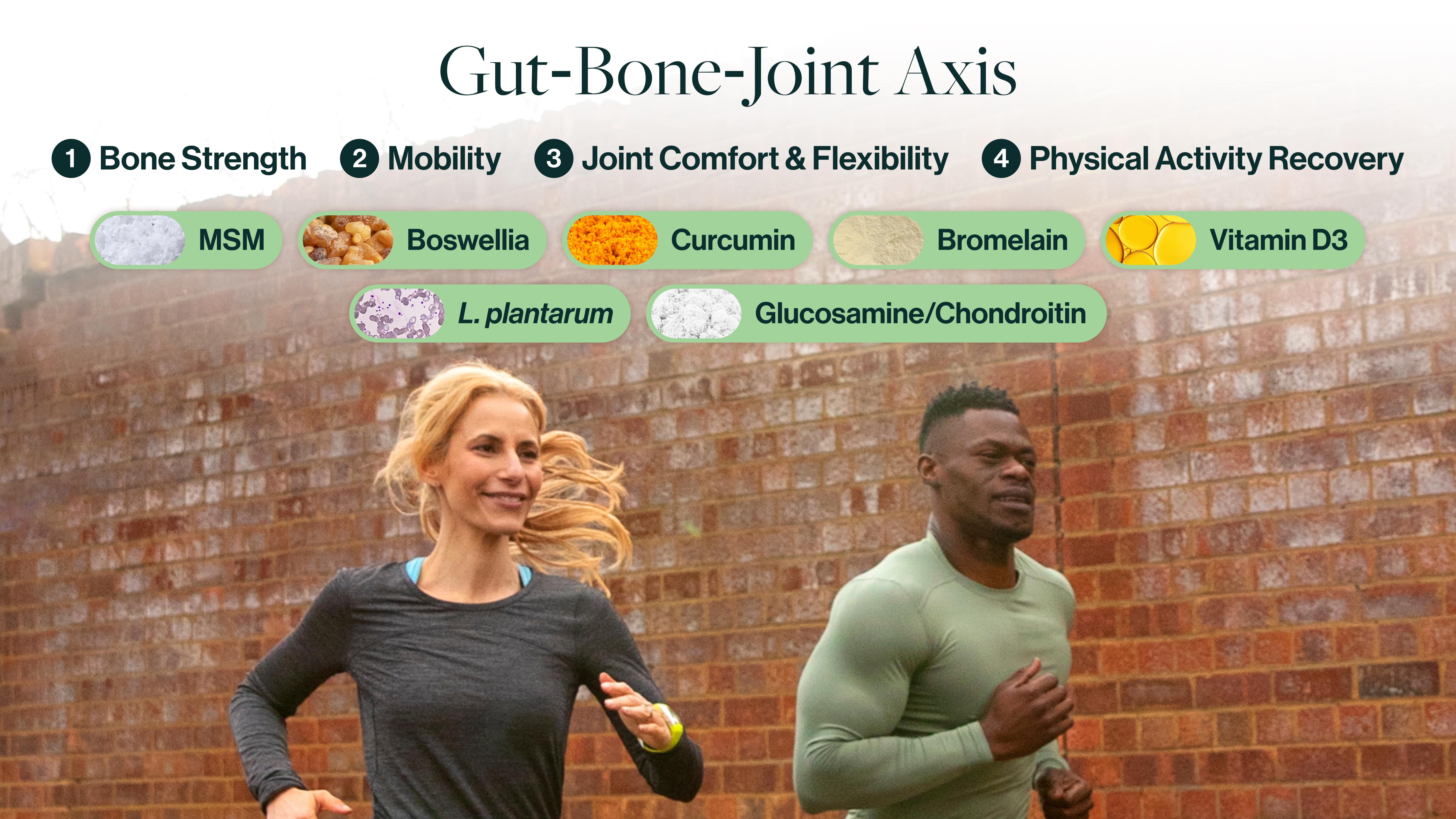 Step 1: resO helps your gut communicate with your joints and bones to support comfortable movement through the Gut-Bone-Joint Axis.*