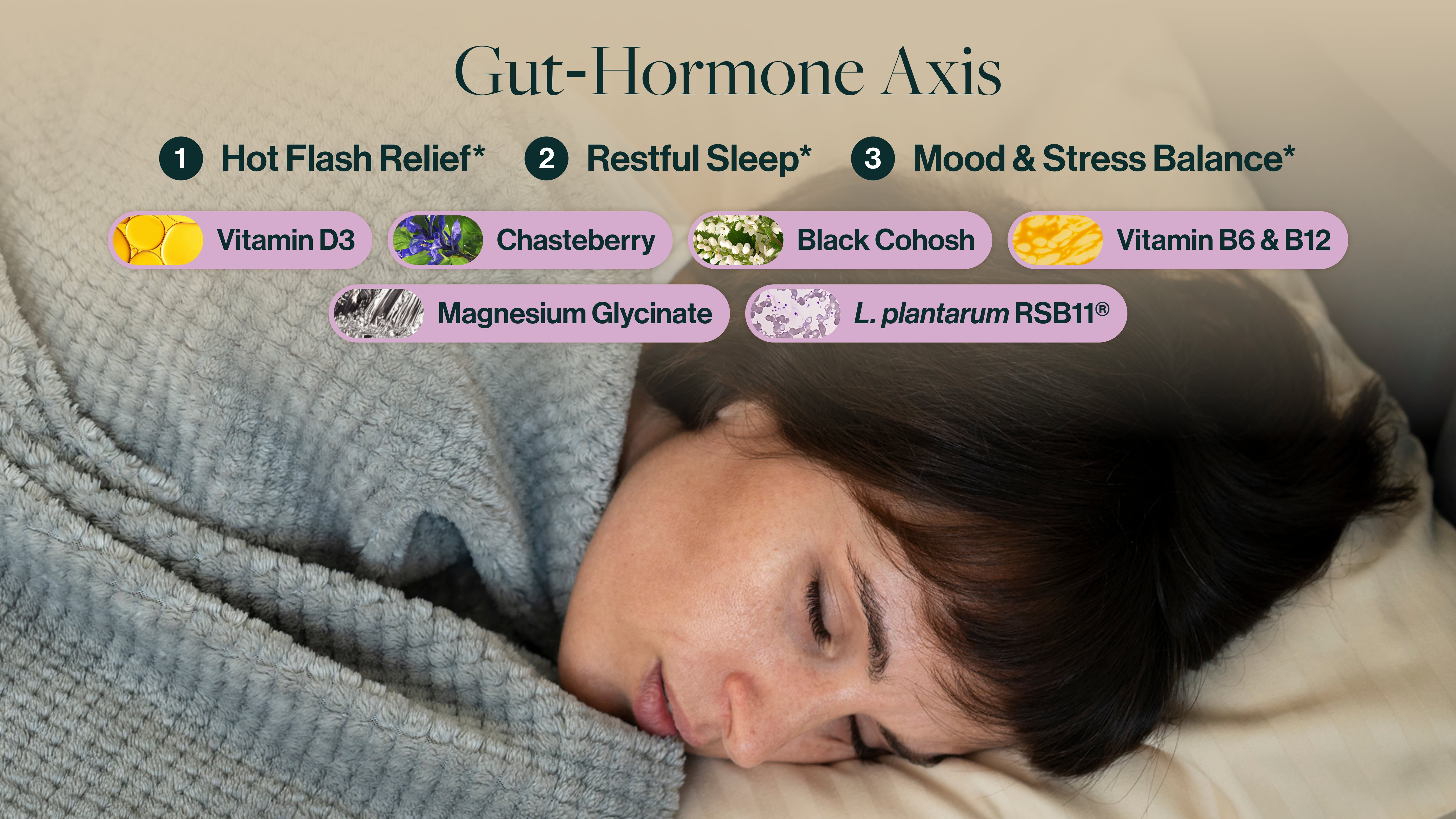 Step 2: By targeting the Gut-Hormone Axis, a key communication pathway between the gut and hormone-producing systems, this precision blend supports estrogen metabolism, serotonin signaling, and circadian rhythm regulation.

This results in a natural relief from symptoms like hot flashes, mood swings, and disrupted sleep by helping the gut support balanced hormone signaling.